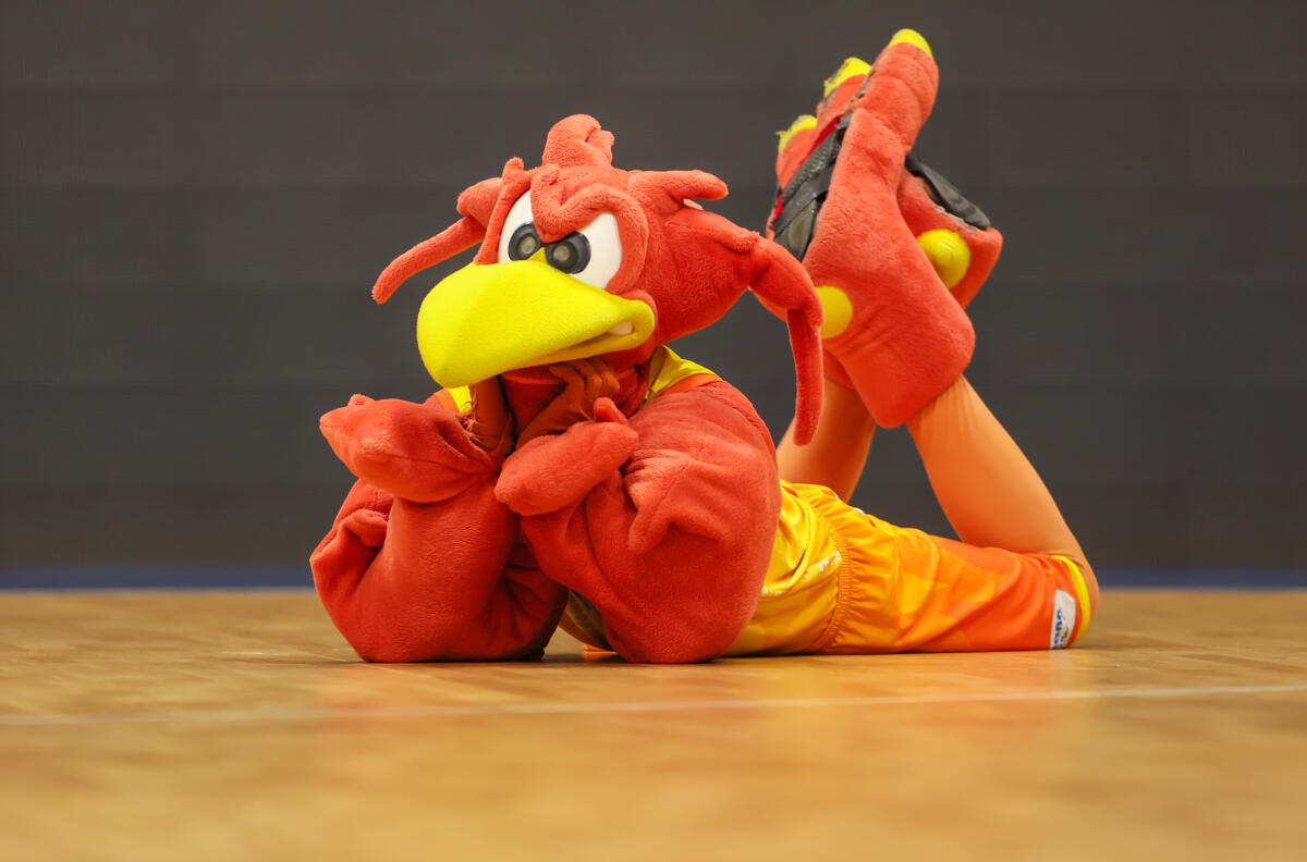 Phoenix Hagen - Vfl Bochum