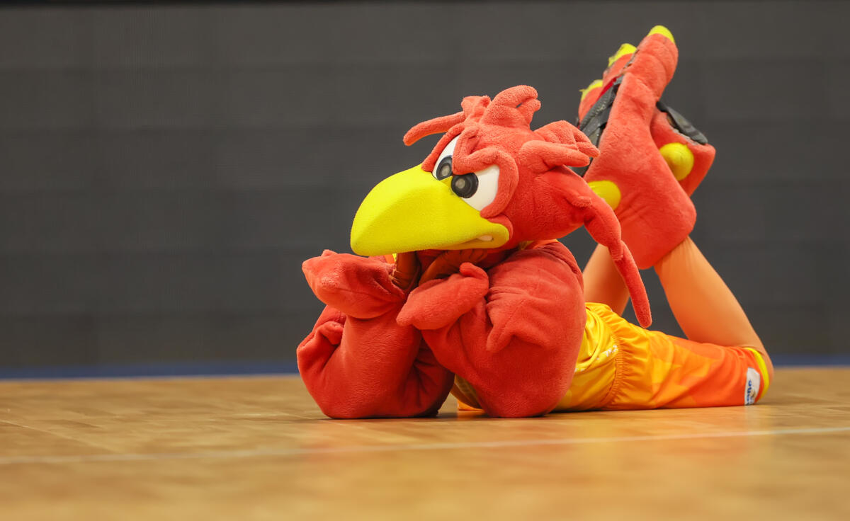 Phoenix Hagen - Vfl Bochum