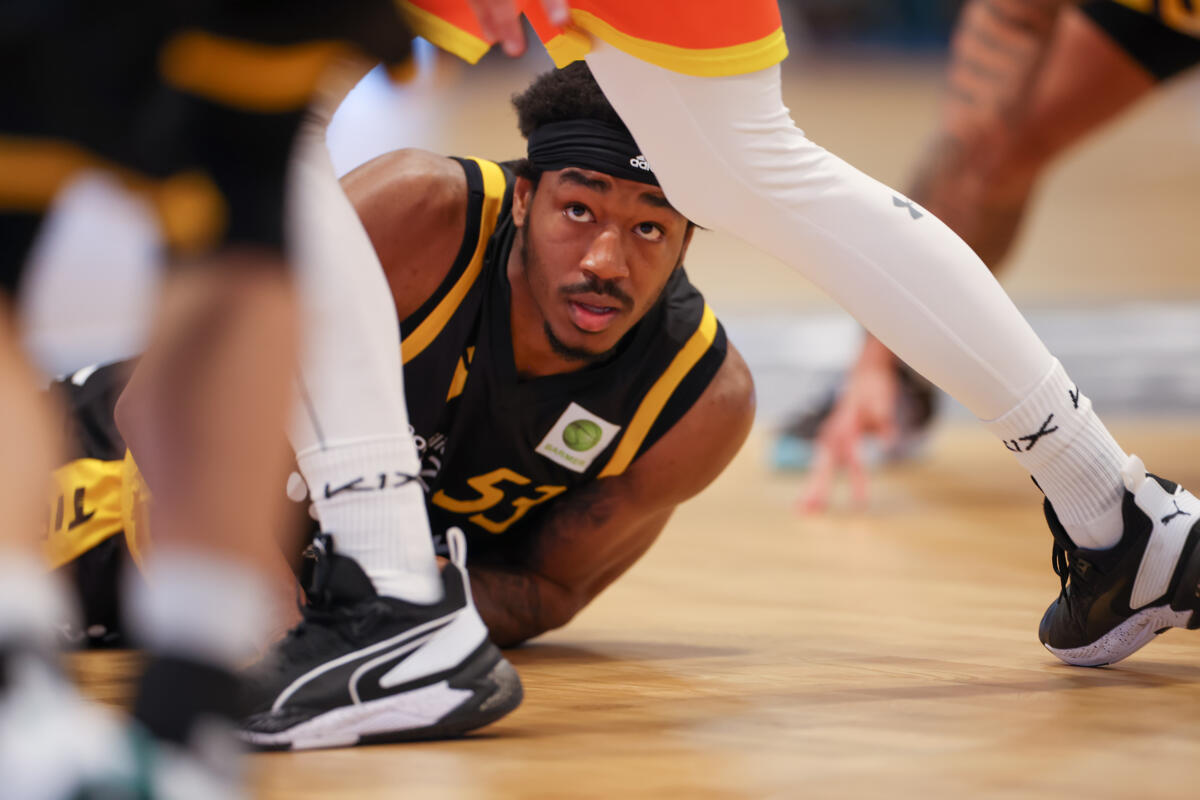 Phoenix Hagen - Tigers Tübingen