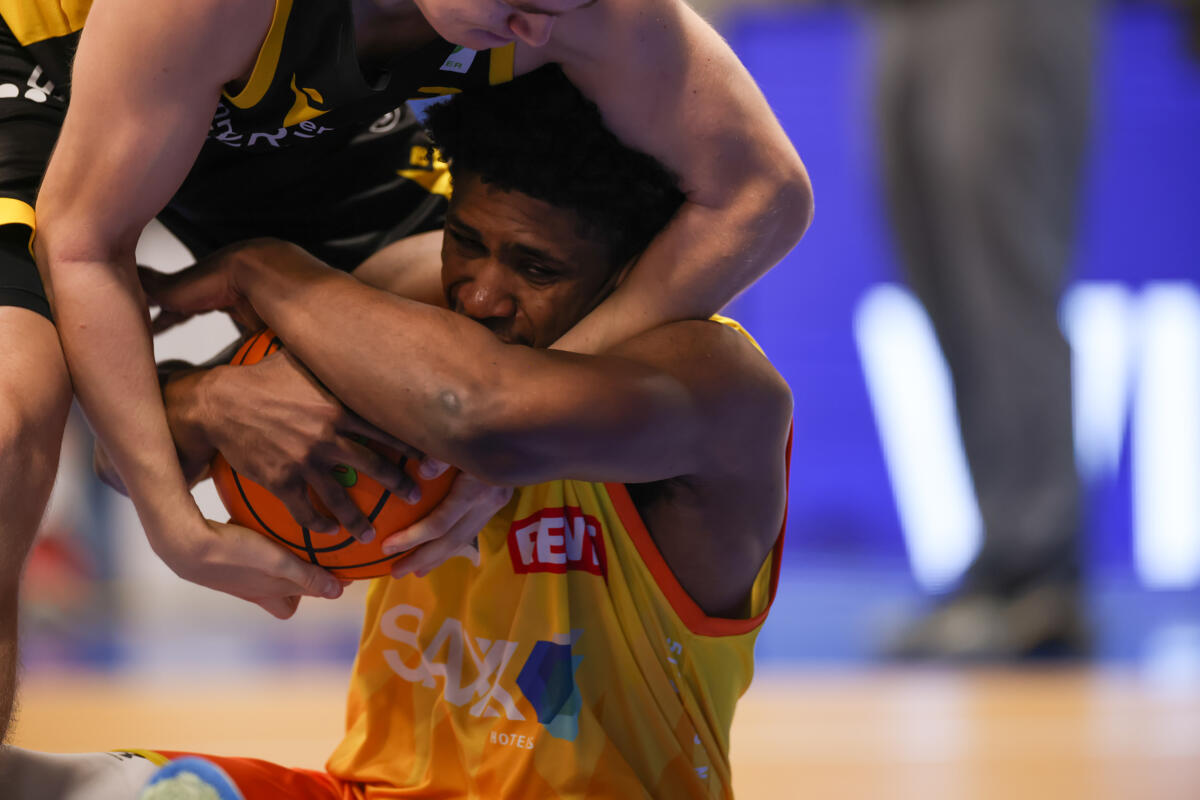 Phoenix Hagen - Tigers Tübingen