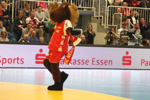 2. Handball Bundesliga