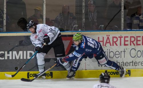 Eishockey, DEL, Iserlohn, Iserlohn Roosters vs. Thomas Sabo Ice Tigers
