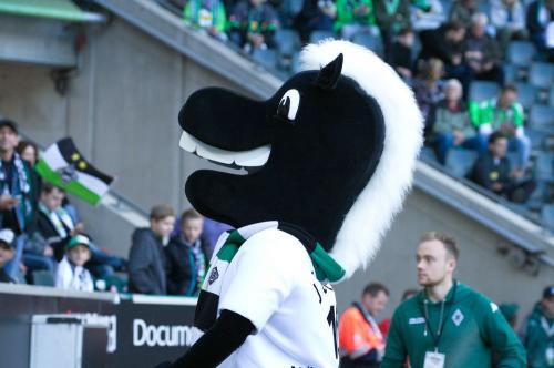 Borussia Mönchengladbach - Mainz 05