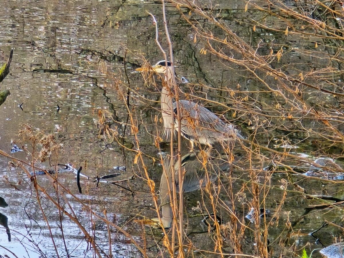 Rund um den winterlichen Seilersee