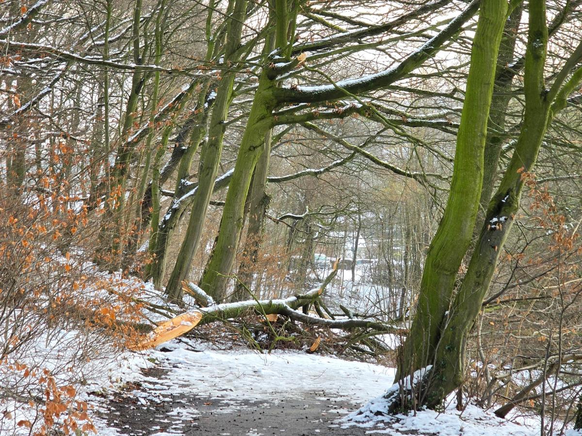 Rund um den winterlichen Seilersee