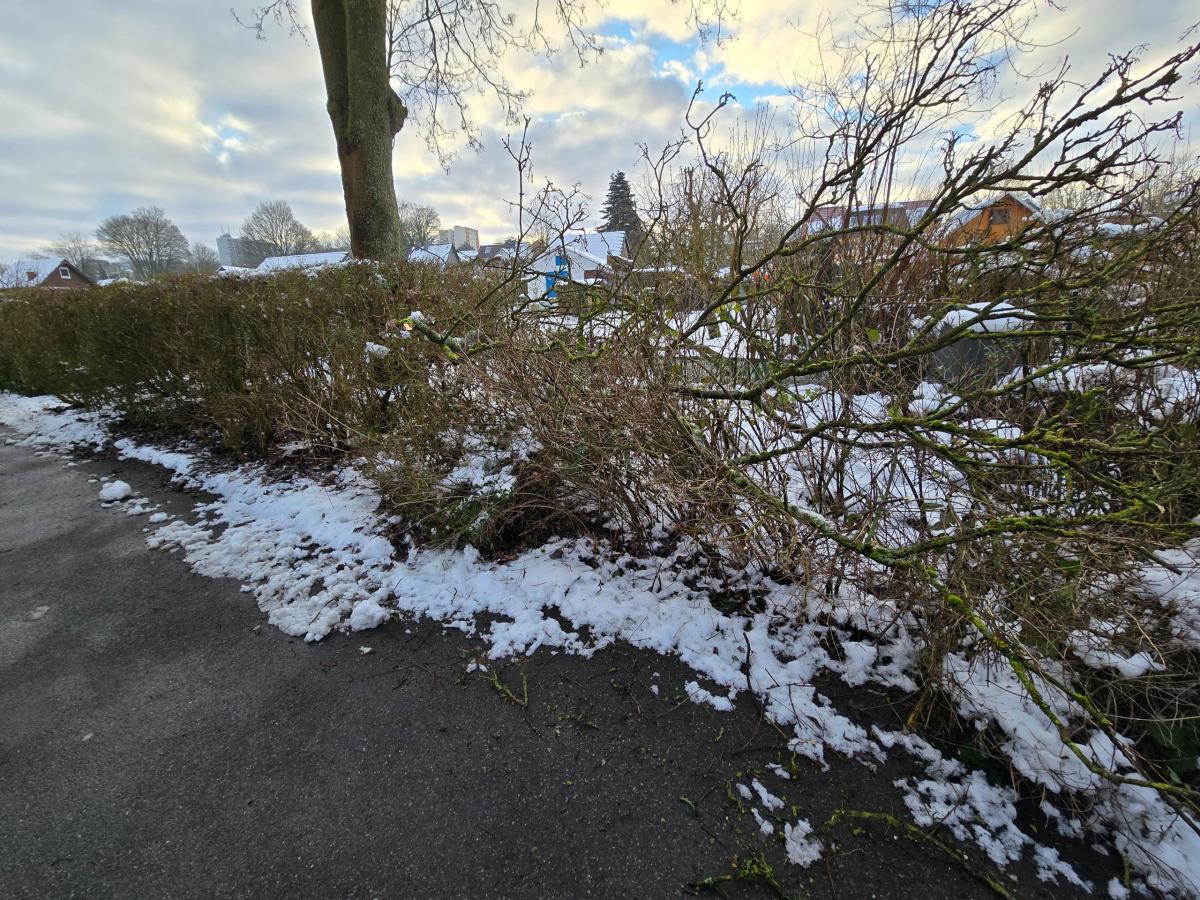 Rund um den winterlichen Seilersee