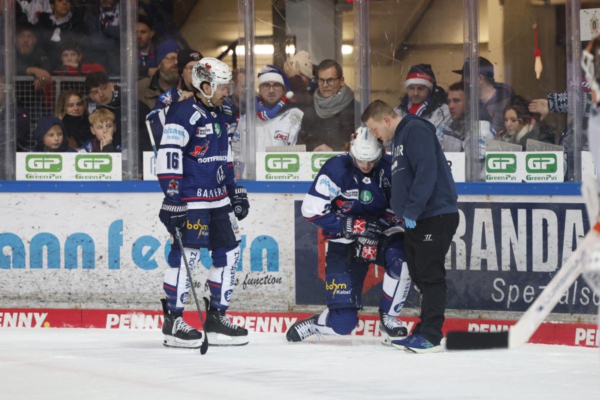 Iserlohn Roosters - Grizzlys Wolfsburg (20.12.2024)