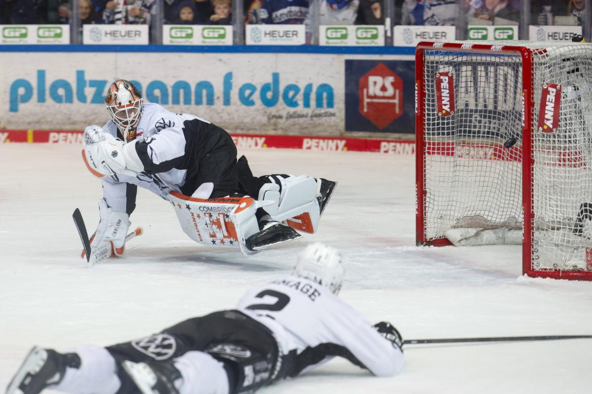 Iserlohn Roosters - Grizzlys Wolfsburg (20.12.2024)