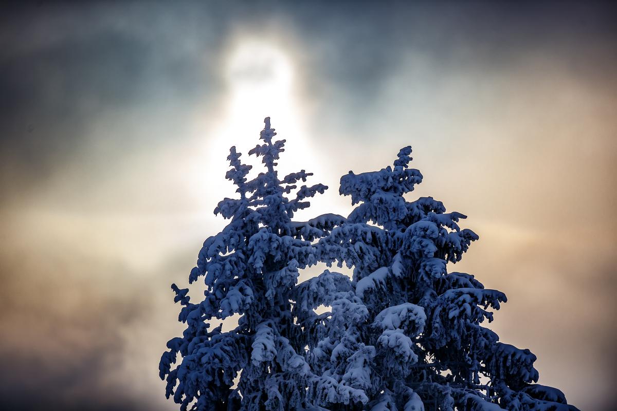 BMW IBSF Bob & Skeleton Weltcup