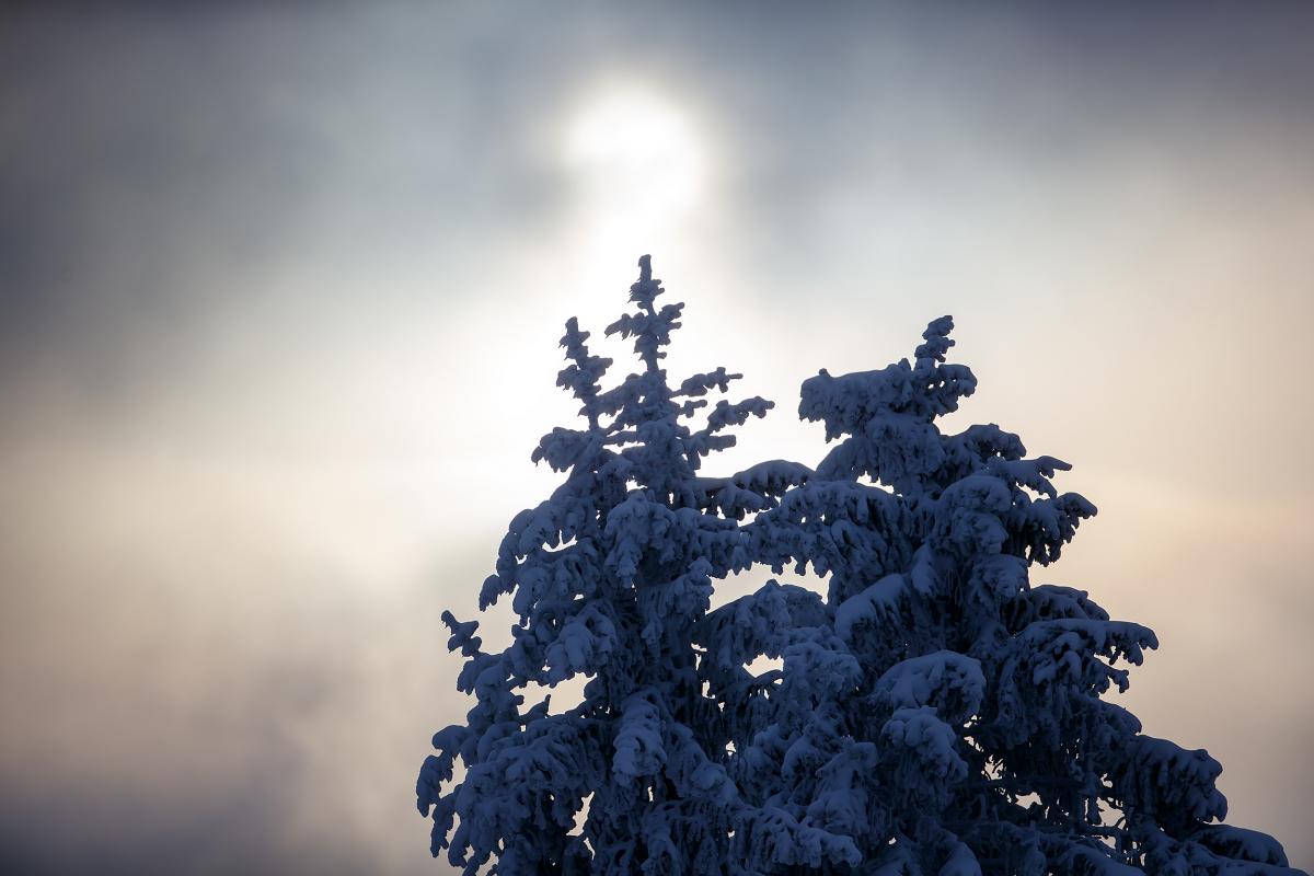 BMW IBSF Bob & Skeleton Weltcup