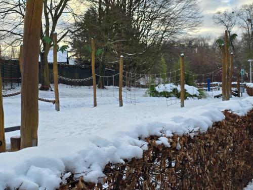 Rund um den winterlichen Seilersee