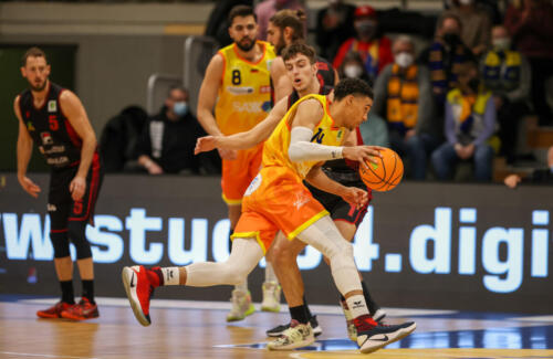 Phoenix Hagen - Artland Dragons