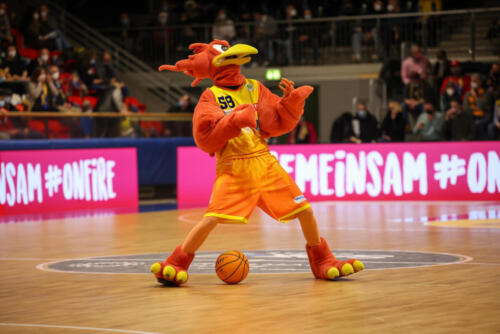 Phoenix Hagen - Artland Dragons