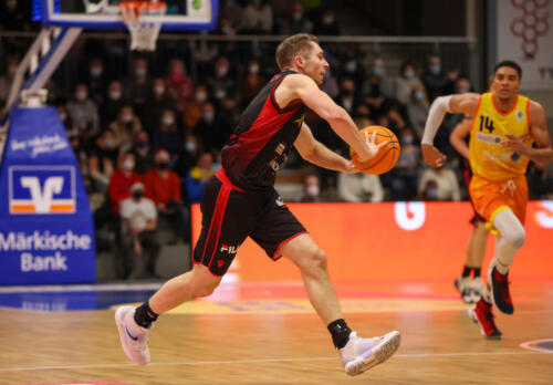 Phoenix Hagen - Artland Dragons