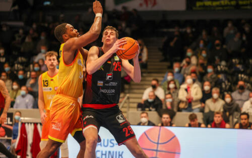 Phoenix Hagen - Artland Dragons