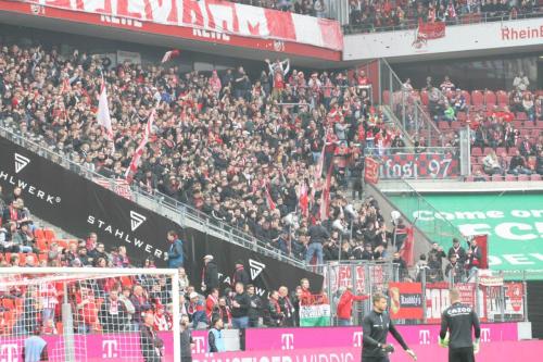 1. FC Köln - SC Freiburg