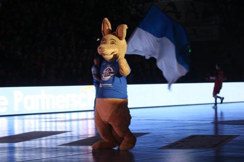 VFL Gummersbach - MT Melsungen