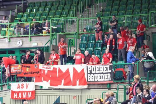 Bergischer HC - ASV Hamm