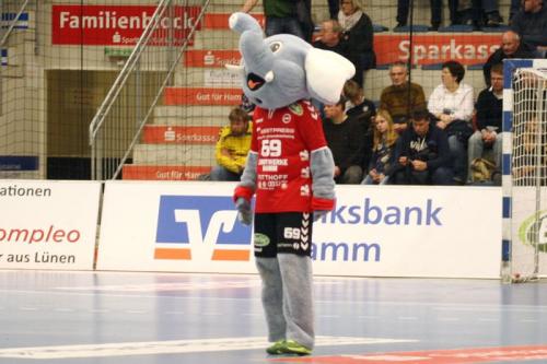 2. Handball Bundesliga