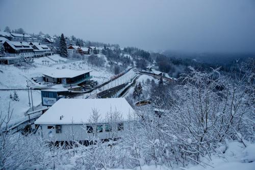 IBSF Bob & Skeleton Weltcup in Winterberg