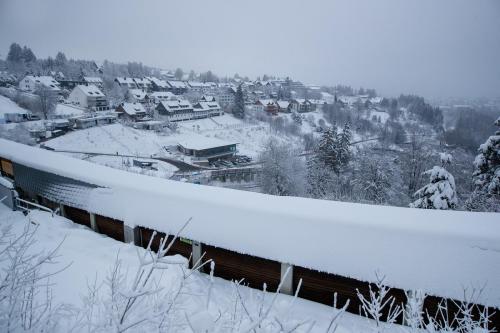 BMW IBSF Bob & Skeleton Weltcup