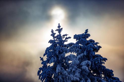 BMW IBSF Bob & Skeleton Weltcup