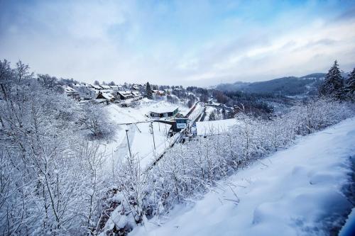 BMW IBSF Bob & Skeleton Weltcup
