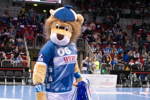 DKB Handball Bundesliga
