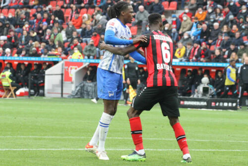 Bayer 04 Leverkusen - Hertha BSC