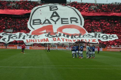 Bayer 04 Leverkusen - FC Schalke 04