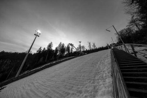 SKI Jumping Wold Cup Willigen 2019