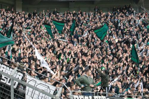 Bayer 04 Leverkusen - Borussia Mönchengladbach