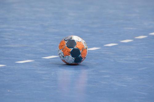 DKB Handball Bundesliga
