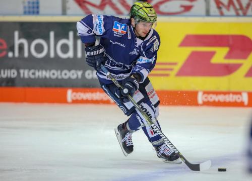 Eishockey, DEL, Iserlohn, Iserlohn Roosters vs. Adler Mannheim