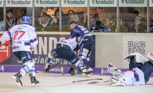 Eishockey, DEL, Iserlohn, Iserlohn Roosters vs. Adler Mannheim