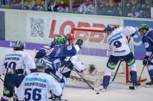 Eishockey, DEL, Iserlohn, Iserlohn Roosters vs. Eisbären Berlin