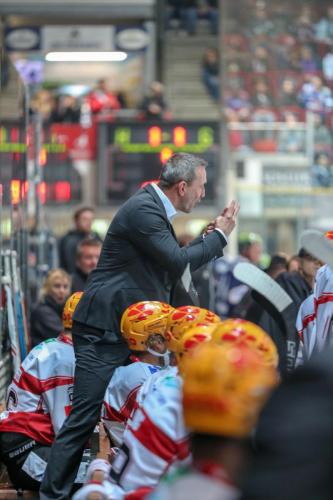 Eishockey, DEL, Iserlohn, Iserlohn Roosters vs. Fischtown Pinguins