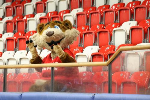 Basketball REWE Cup in Hagen