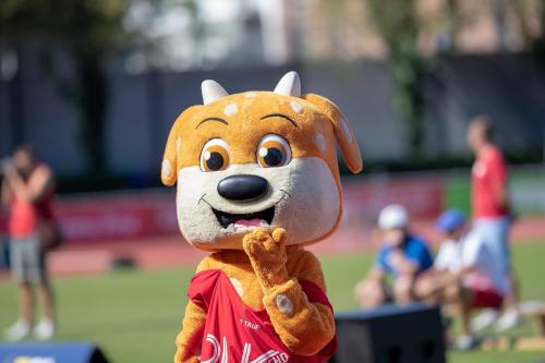 Mehrkampf Meeting Ratingen 00303 Kopie