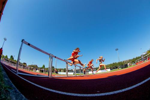Mehrkampf Meeting Ratingen 01127 Kopie