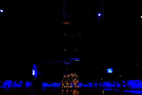 Phoenix Hagen - Bayer Giants Leverkusen