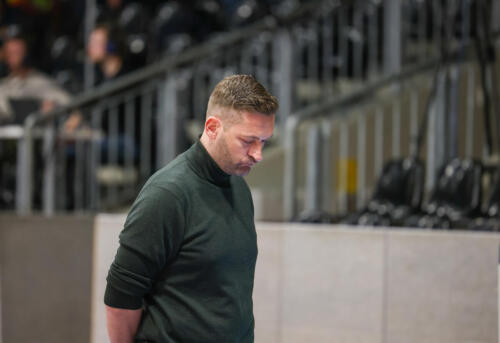 Phoenix Hagen - Kirchheim Knights