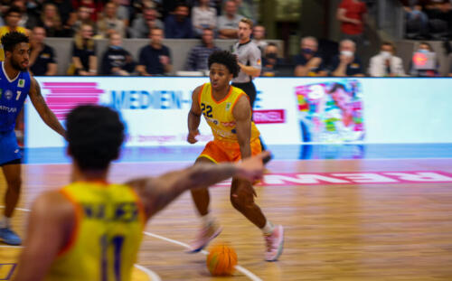 Phoenix Hagen - PSK Lions