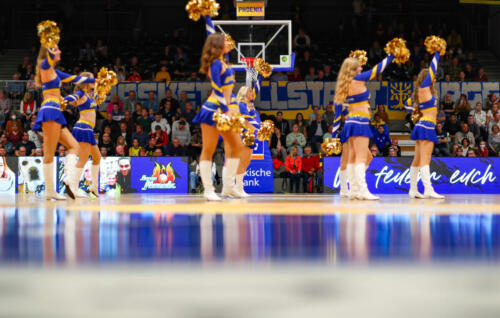 Phoenix Hagen - PSK Lions