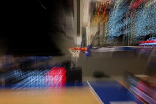 Phoenix Hagen - PSK Lions