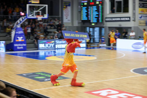 Phoenix Hagen - RASTA Vechta