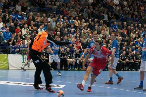 Handball Bundesliga