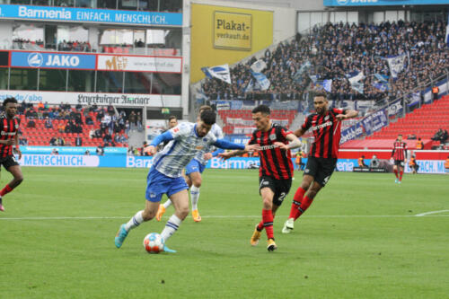 Bayer 04 Leverkusen - Hertha BSC
