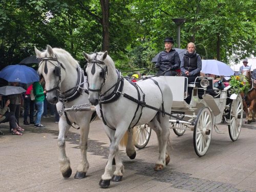 IBSV Schützenfestumzug 2025