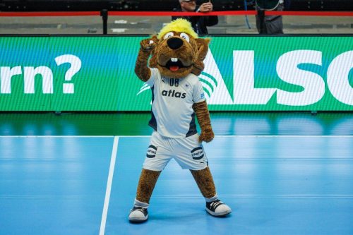 Handball Nationalmannschaft Saison 25/26 - © Sportfoto-Sale (MK)